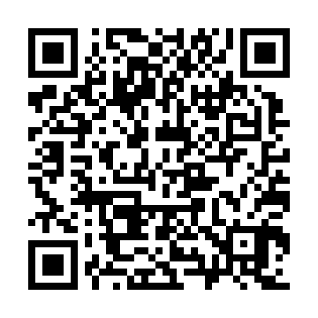 QR code for 397Z00