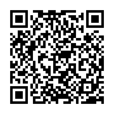 QR code for 398X11