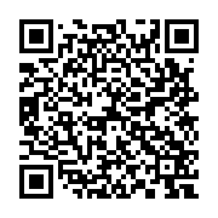 QR code for 39S163