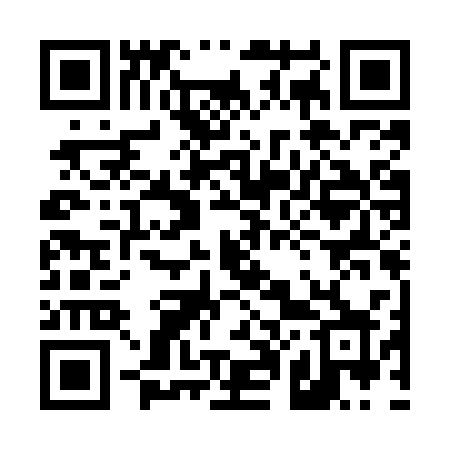 QR code for 401MSX