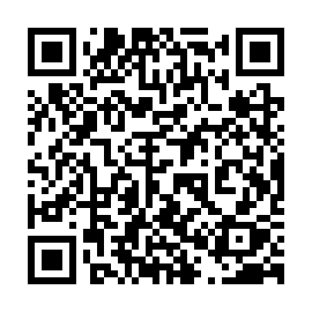 QR code for 401SSX