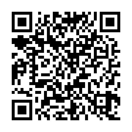 QR code for 410X29