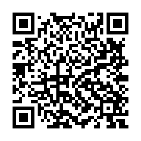 QR code for 410X46