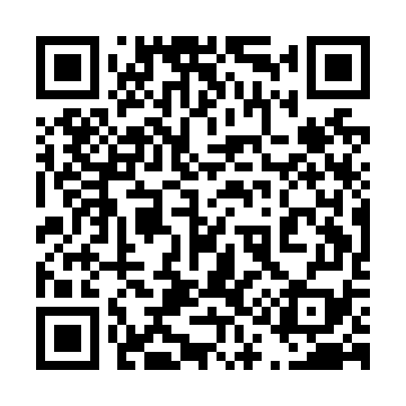 QR code for 411N79