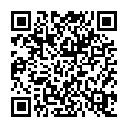 QR code for 411PFG