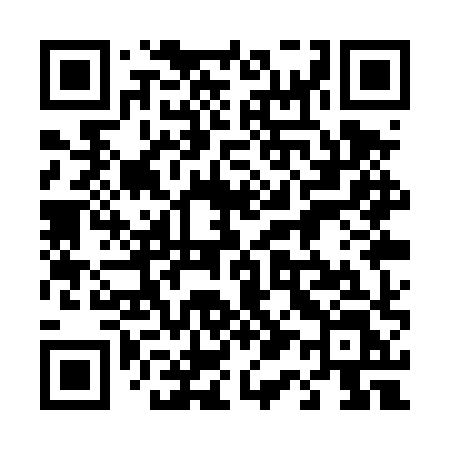 QR code for 411TXL