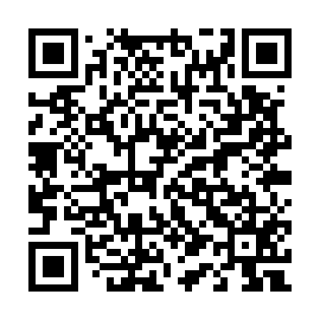 QR code for 411U55