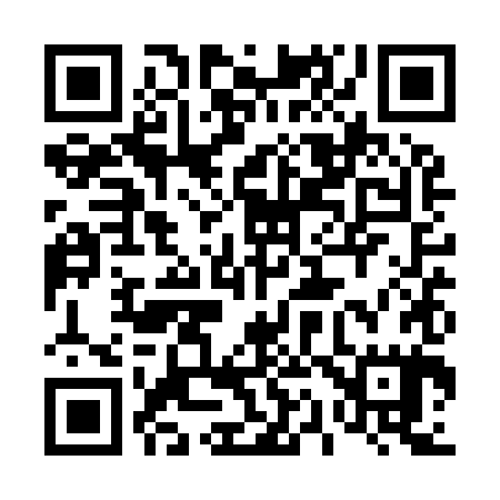 QR code for 411Y85