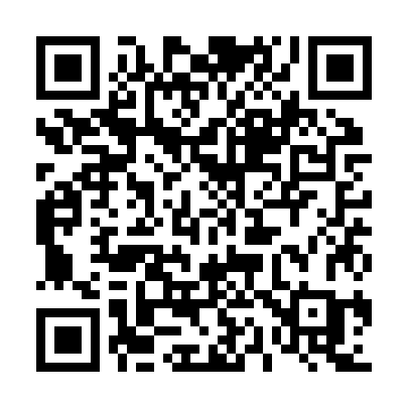 QR code for 411ZZC