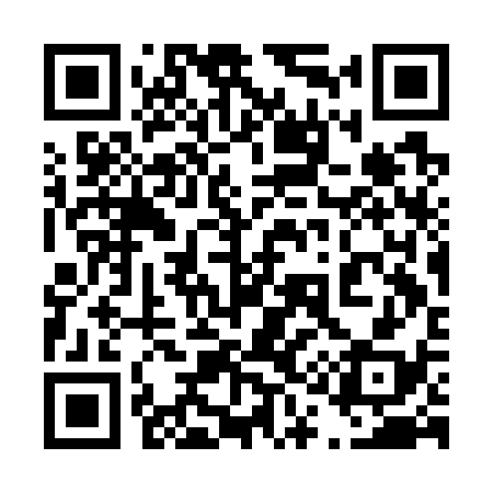 QR code for 413G38