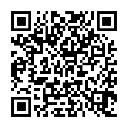 QR code for 416P80