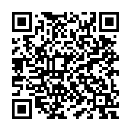 QR code for 419DYS