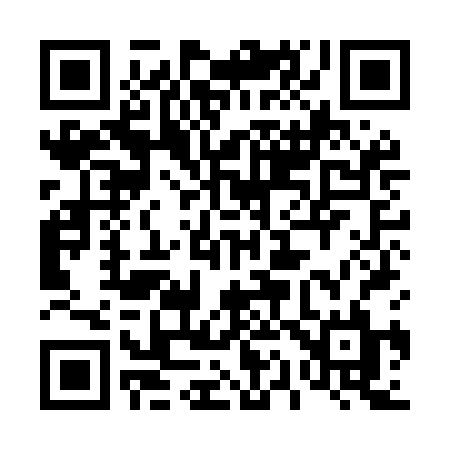 QR code for 419MBL