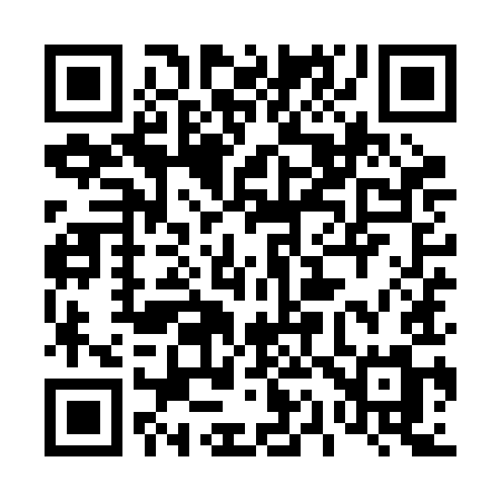 QR code for 419RIM