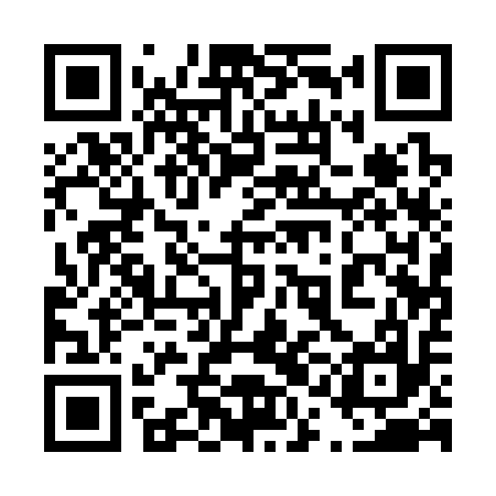 QR code for 41A317