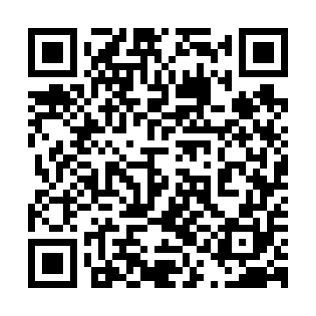 QR code for 41G650