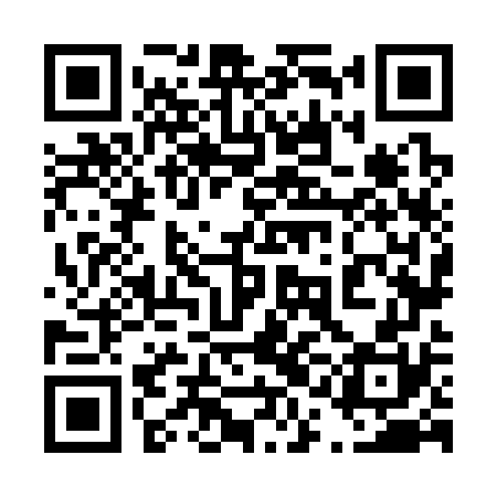 QR code for 41N370