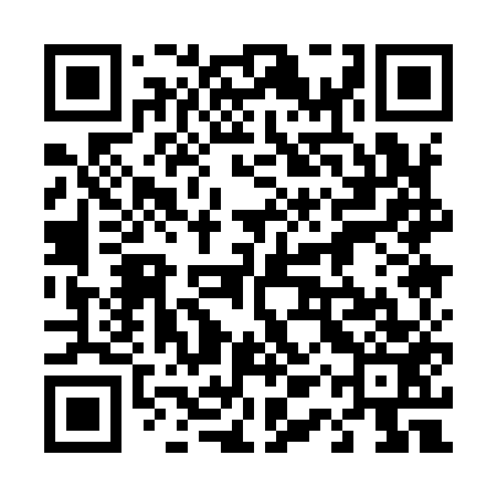 QR code for 41Q953