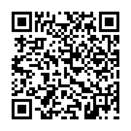 QR code for 41T336