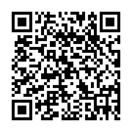 QR code for 41T595