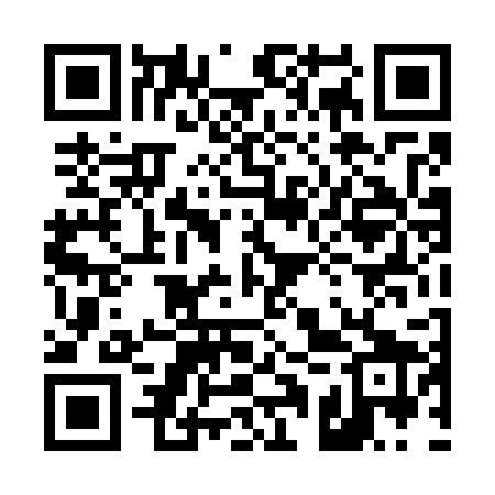 QR code for 41T729