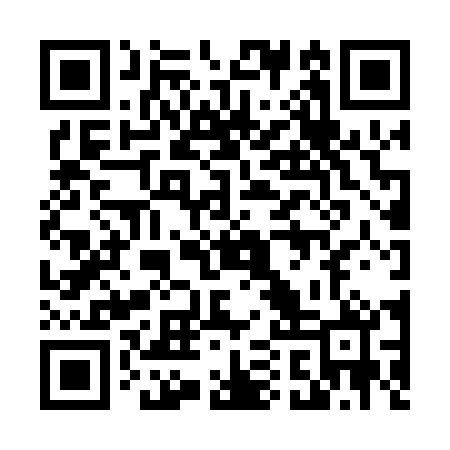 QR code for 41Z040