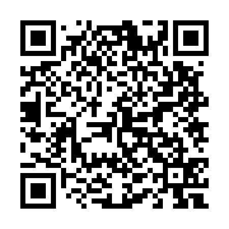 QR code for 41Z535