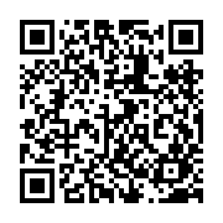 QR code for 425BIN