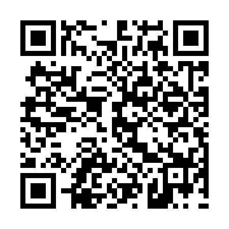 QR code for 425I39