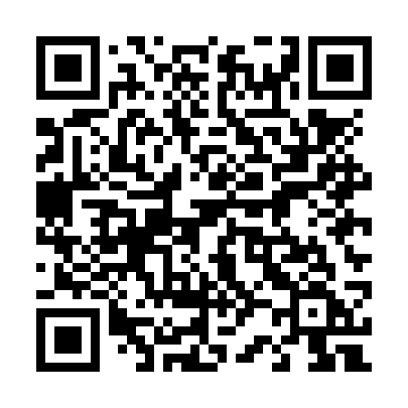 QR code for 425NSF