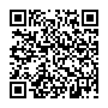 QR code for 425X46