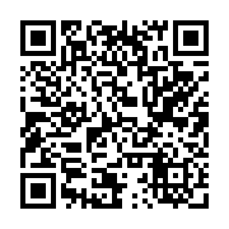 QR code for 42P438