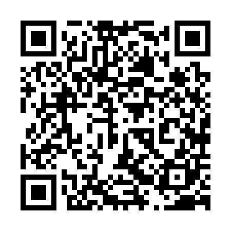 QR code for 42X300