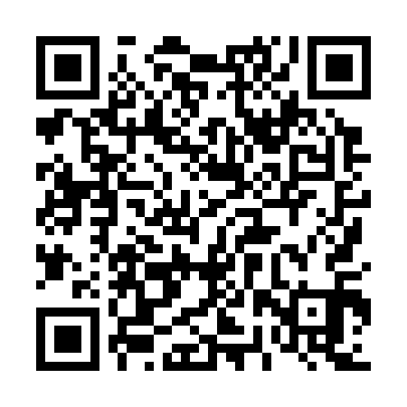 QR code for 42X311