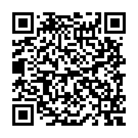 QR code for 42X595