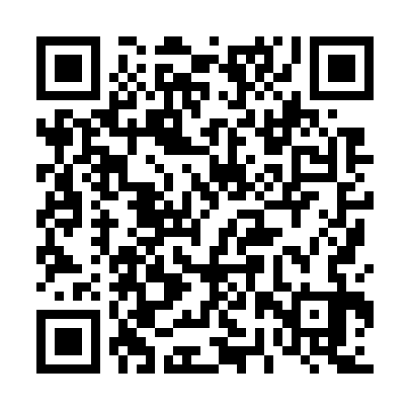 QR code for 42X733