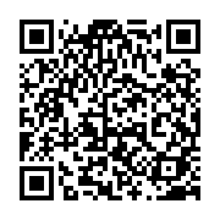 QR code for 438API