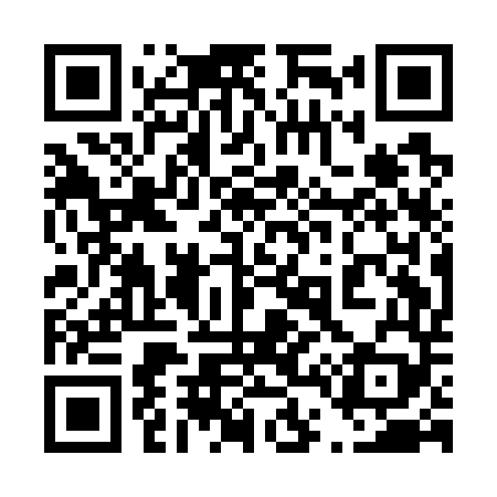 QR code for 441G49