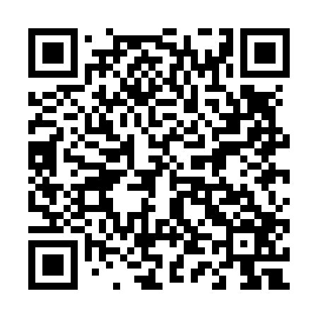 QR code for 441N06