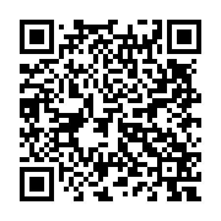 QR code for 441N63