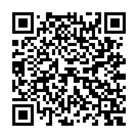 QR code for 441UMS
