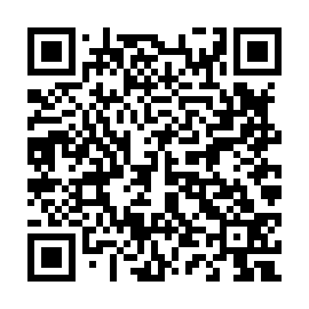 QR code for 446H33