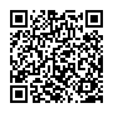QR code for 450PSO