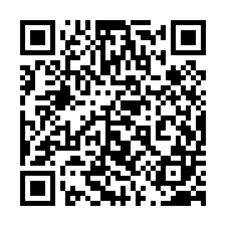 QR code for 451P02