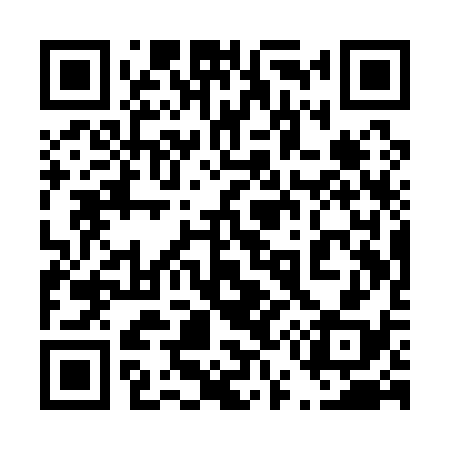 QR code for 451Q38