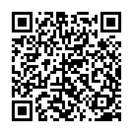QR code for 452X49