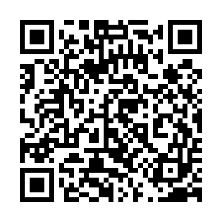 QR code for 453E53