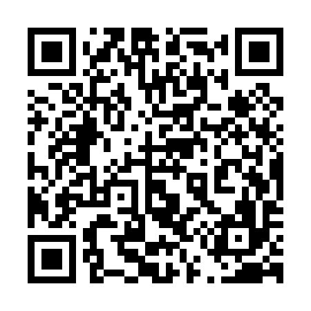 QR code for 455P96