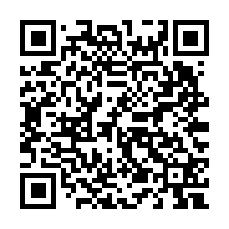 QR code for 455V20