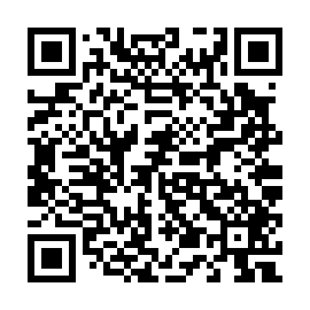 QR code for 456P49